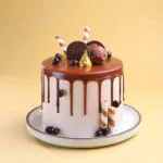 Drip Drop Tall Milk Choco Cake
